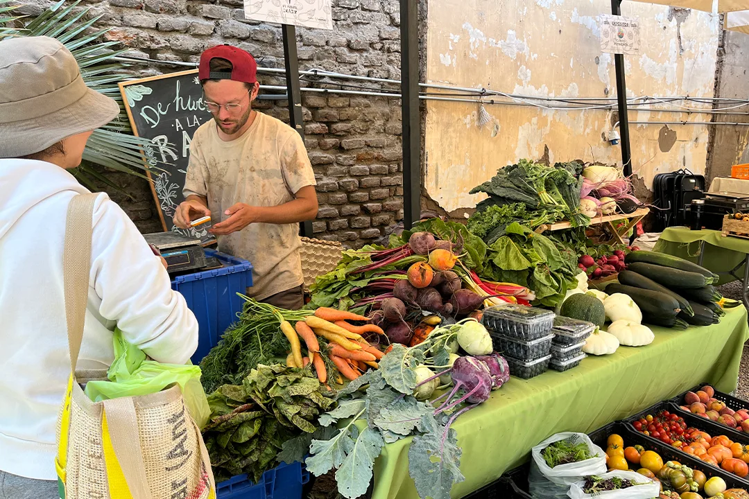 Verde urbano: Providencia estrena espacio sustentable junto a mercado huerto