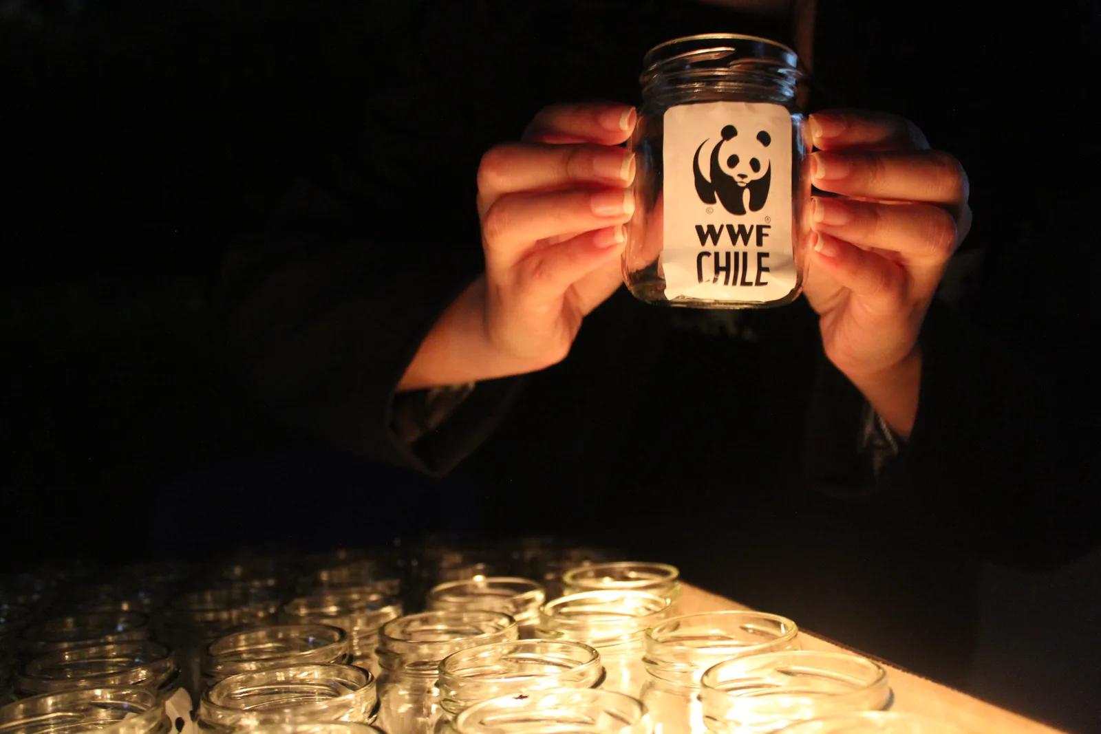 Con música, compromiso y acción ambiental WWF Chile invita a una nueva Hora del Planeta