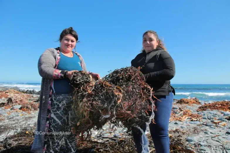 ComunidadMujer inicia postulación a Fondo Concursable para proyectos de organizaciones territoriales que promuevan la igualdad de género en sus comunidades